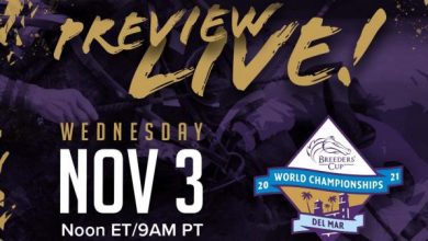 Watch the Breeders' Cup Preview Live! Show on Nov. 3