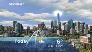 Edmonton early morning weather forecast: Friday, October 29, 2021