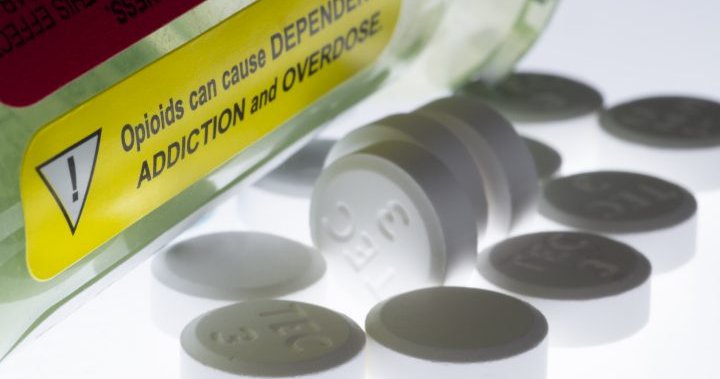 Alberta’s opioid poisoning crisis approaching deadly record, data shows