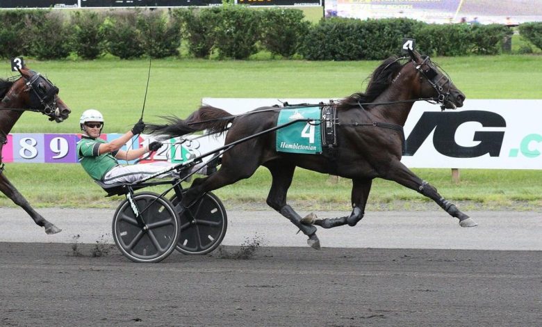 Harness Racing Report: Building to the Breeders Crown
