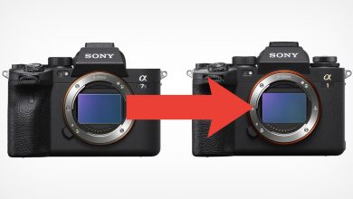 Could the Alpha 7S III be Using the Same Sensor as the Alpha 1?