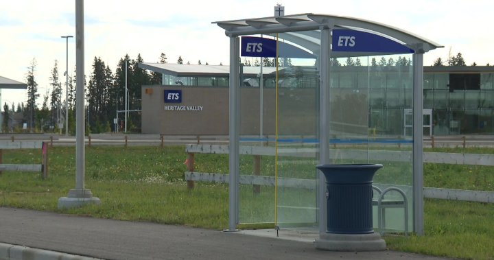 Edmonton transit to temporarily reduce bus frequency due to driver COVID-19 vaccination rates - Edmonton