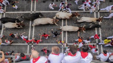 Man dead after being gored during a bull run festival in Spain - National