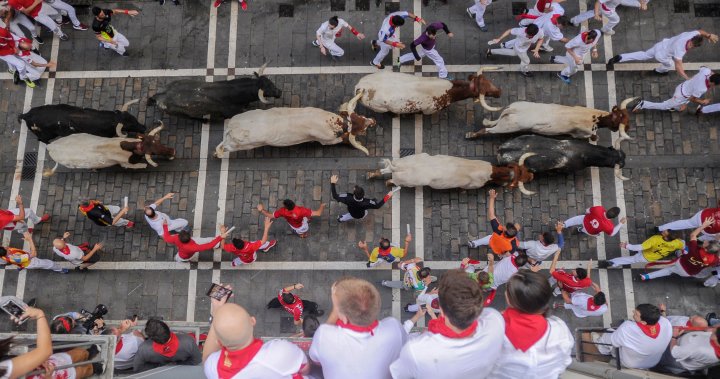 Man dead after being gored during a bull run festival in Spain - National