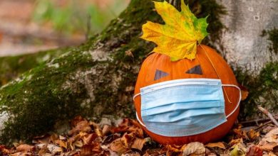 COVID-19 Halloween: What the risks are and how to celebrate safely - National