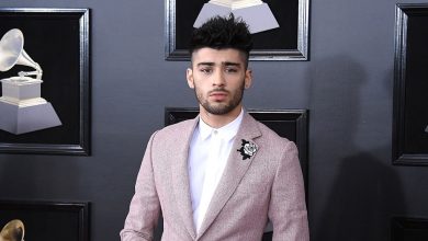 Zayn Malik Pleads “No Contest” to Harassment Charges – The Hollywood Reporter