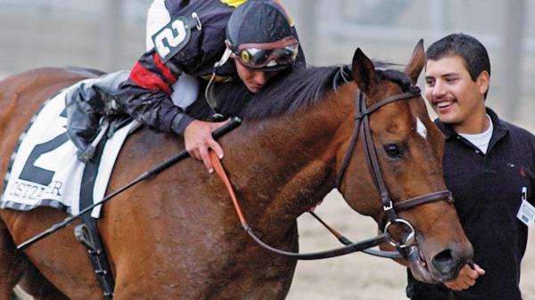 Ghostzapper: The Horse That Blazed a Brilliant Path in a Brief, But Potent Racing Career
