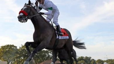 2021 Breeders' Cup Classic Contenders: Hot Rod Charlie