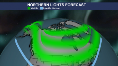 Northern Lights could light up Halloween weekend skies across Canada