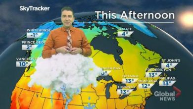 Saskatchewan weather outlook: Oct. 29