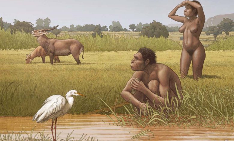 Homo bodoensis: Is there a new species of human?