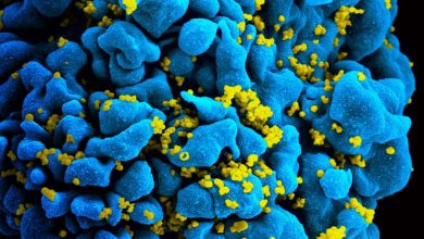 HIV: Two people suppressed the virus for years while pausing medication