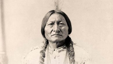 Sitting Bull: DNA of Native American leader matched to living relative