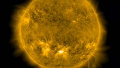 Huge solar flare erupts from sun, may disrupt satellites, communication - National