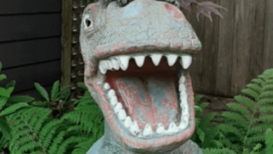 Eighty-pound dinosaur statue stolen from Burnaby, B.C. backyard