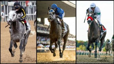 2021 Longines Breeders' Cup Classic Quick Sheet: Get to Know the Horses