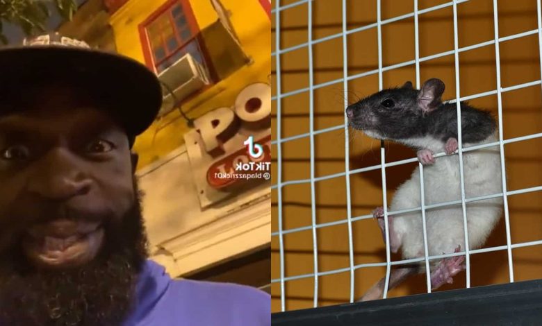 Viral Popeyes TikTok gets rat-infested restaurant shut down