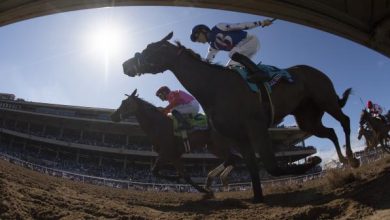 What to Know About the 2021 ‘Future Stars Friday’ Breeders' Cup Races