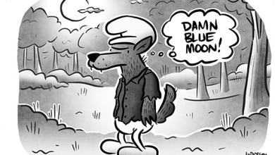 CSotD: Halloweeneen The Daily Cartoonist