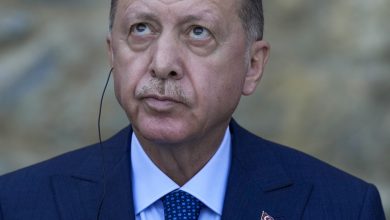 Turkey's Erdogan orders the removal of 10 ambassadors : NPR