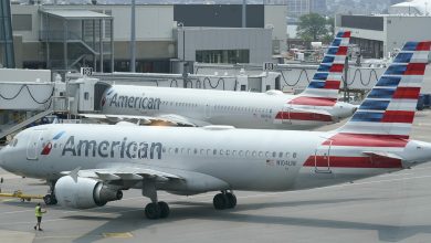 American Airlines cancels hundreds of flights due to weather and staff shortages : NPR