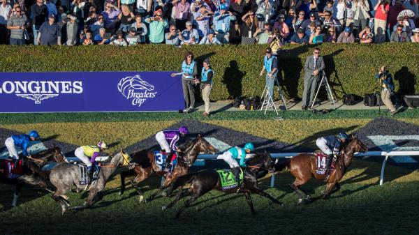 What to Know About the 2021 Breeders’ Cup Races on Championship Saturday