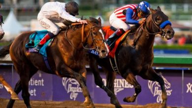 Tips, Trends, and Historical Tidbits for Picking a Breeders’ Cup Classic Winner