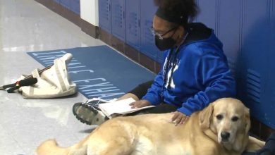 Therapy dog helps Eastern High School students with reading struggles