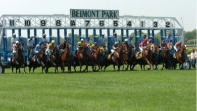 Belmont Fall Meet Trends to Help Build Your Bankroll