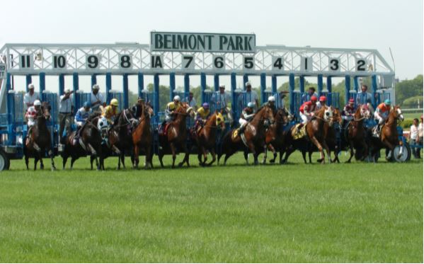 Belmont Fall Meet Trends to Help Build Your Bankroll