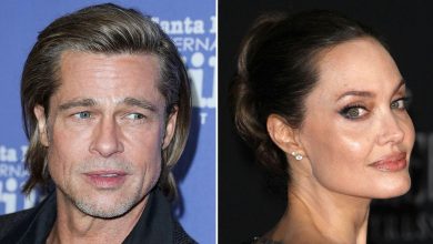 Brad Pitt Shut Down By California Supreme Court In Battle With Ex Angelina Jolie Over Custody