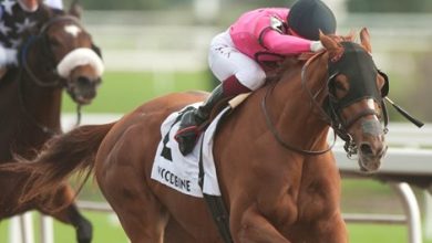Our Secret Agent, Moira Shine in Stakes at Woodbine
