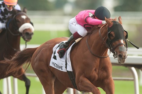 Our Secret Agent, Moira Shine in Stakes at Woodbine