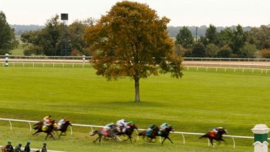 StableDuel Contest Picks for Keeneland’s Wednesday Oct. 27 Card