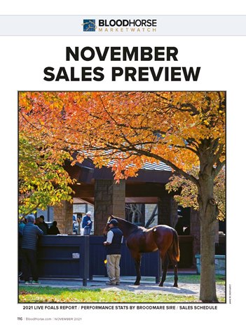 MarketWatch: November Sales Preview - BloodHorse