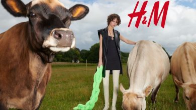 Animal-Free Fashion Collections