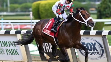 Firenze Fire to Stud in Japan After Breeders' Cup