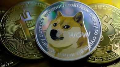 Dogecoin Has More Crypto Holders Than Bitcoin or Ether in the US: Study