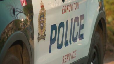 Woman charged after Edmonton charity defrauded more than $200K - Edmonton