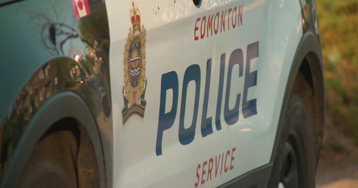 Woman charged after Edmonton charity defrauded more than $200K - Edmonton