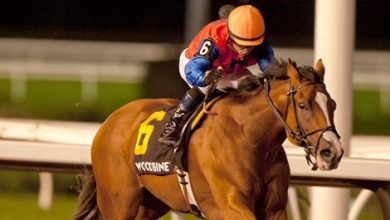 Two-Year-Olds Showcased Oct. 30 in Stakes at Woodbine