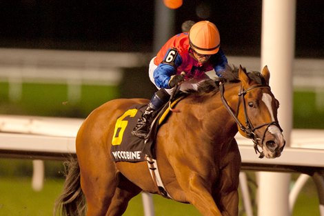Two-Year-Olds Showcased Oct. 30 in Stakes at Woodbine