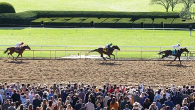 Keeneland Fall Meet Sets Record All-Sources Handle