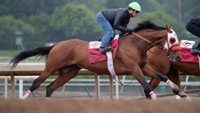 Idol Out of Breeders' Cup Classic