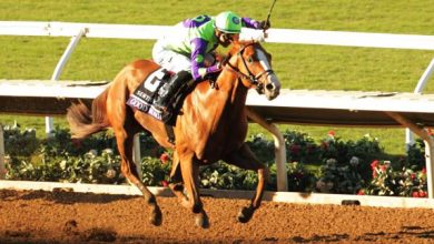 Trends and Tips for Picking a Breeders’ Cup Juvenile Winner