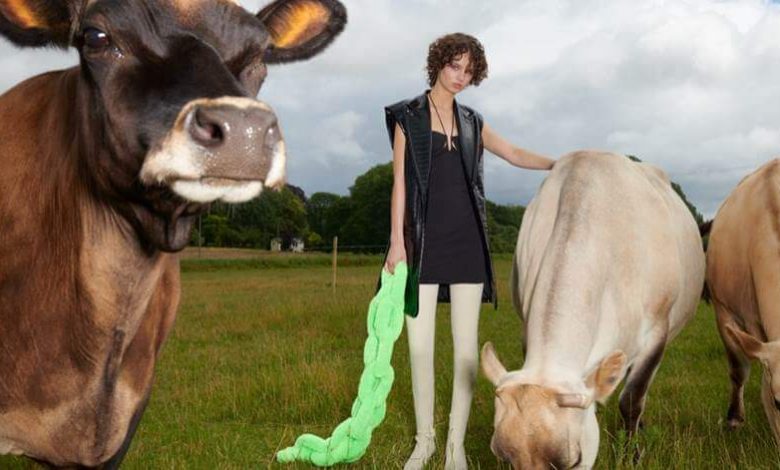 PETA Partners With H&M for First Vegan Fashion Collection