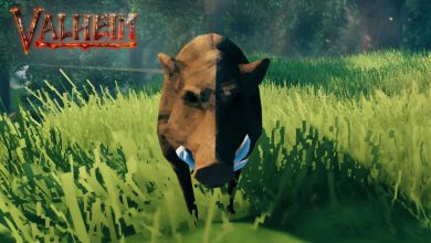 Valheim: How to tame & breed boars