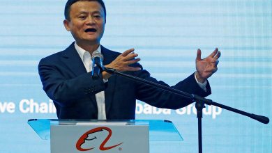Alibaba Founder Jack Ma Touring Dutch Research Institutes to Pursue Interest in Agriculture Technology: Report