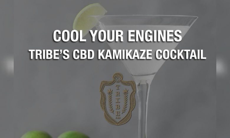 Cool Your Engines With Tribe’s CBD Kamikaze Cocktail
