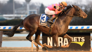 2021 Breeders’ Cup Classic Pre-Entries: Max Player
